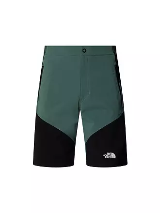 THE NORTH FACE | Herren Short Felik Slim Tapered | petrol
